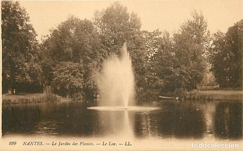 Postales: France - 44 - Nantes - Jardin des Plantes - Le Lac - CPA - Voir Scans Recto-Verso