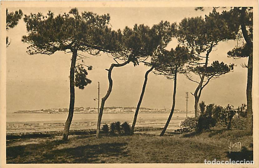 Postkarten: France - 44 - La Baule - Ecran de pins &agrave; travers lesquels on distingue le Pouliguen - CPA - Carte Ne
