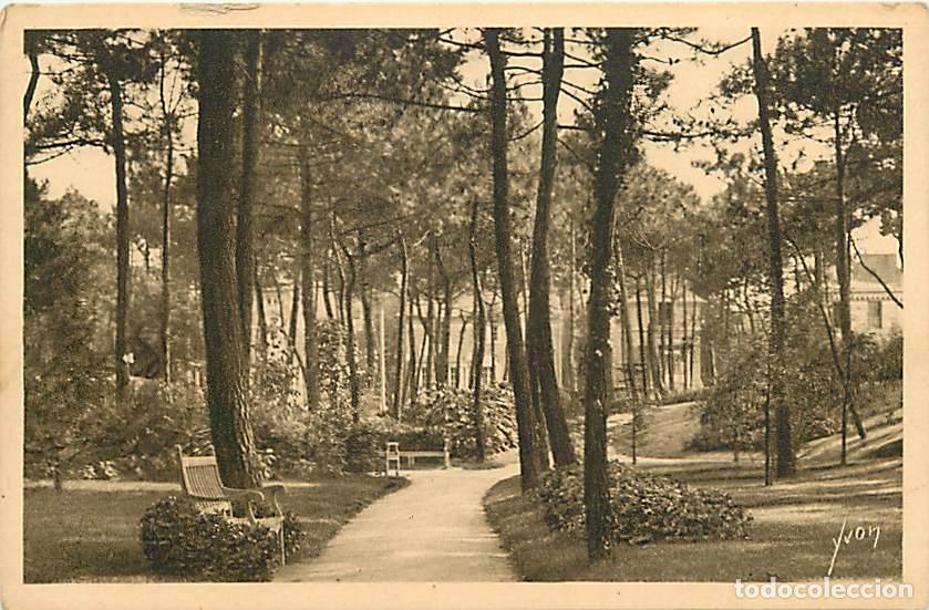 Postkarten: France - 44 - La Baule - Petit bois de pins aux abords imm&eacute;diats du Casino - CPA - Voir Scans Recto-