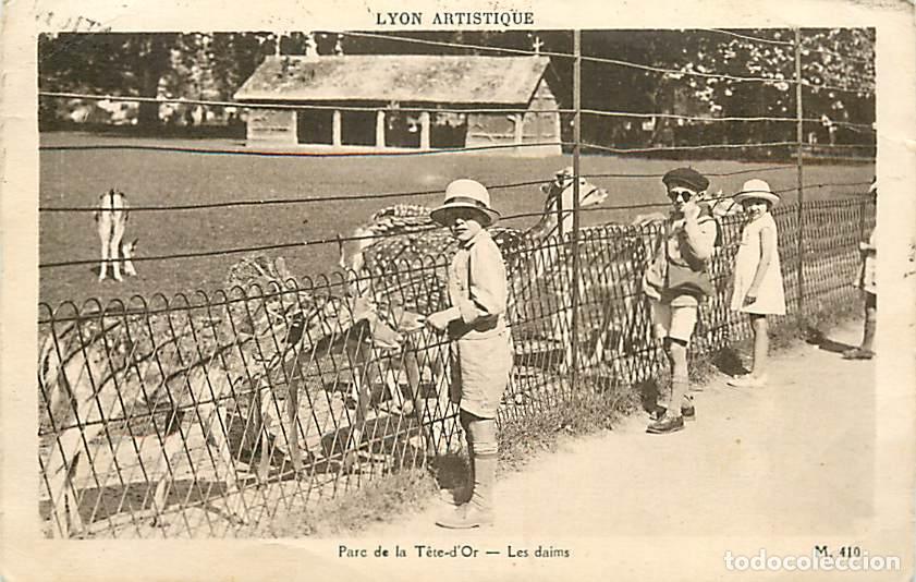 Postais: France - 69 - Lyon - Parc de la T&ecirc;te d'Or - Les daims - Anim&eacute;e - Enfants - CPA - Voyag&eacute;e en 1938 - E