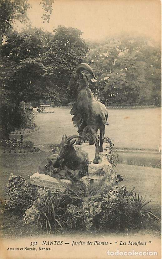 Postcards: France - 44 - Nantes - Jardin des Plantes - Les Mouflons - Art Statue - CPA - Voir Scans Recto-Verso