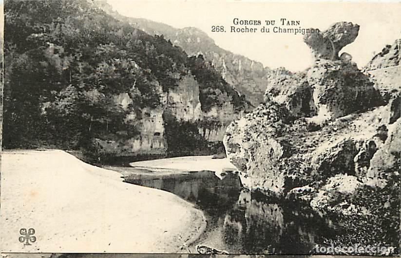 Postais: France - 48 - Les Gorges du Tarn - Rocher du Champignon - CPA - Carte Neuve - Voir Scans Recto-Vers