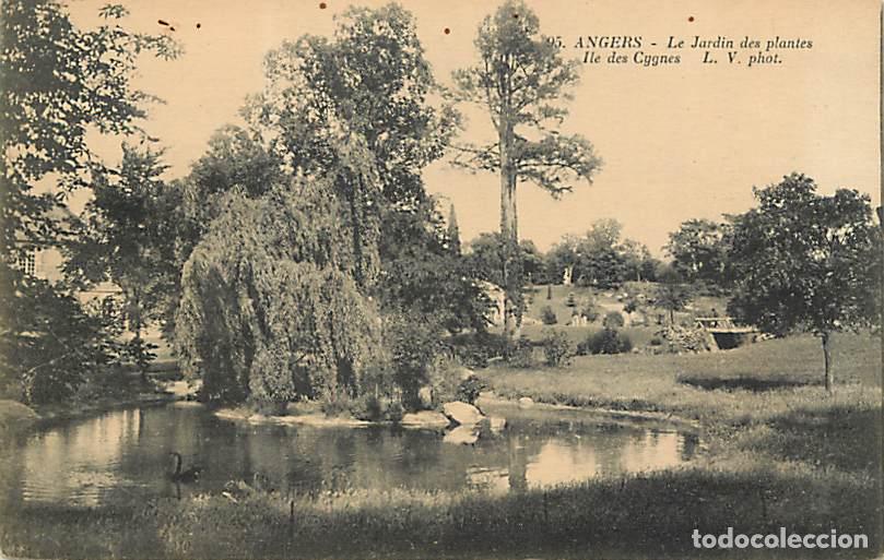 Postais: France - 49 - Angers - Le Jardin des Plantes - Ile des Cygnes - CPA - Voir Scans Recto-Verso