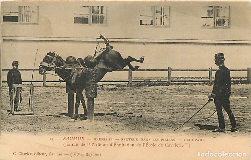 Postales: France - 49 - Saumur - Dressage - Sauteur dans les Piliers - Croupade - Extrait de l'Album d'&Eacute;quitat