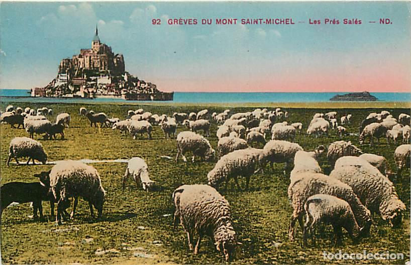 Postcards: France - 50 - Le Mont Saint Michel - Les Pr&eacute;s Sal&eacute;s - Moutons - Coloris&eacute;e - CPA - Voir Scans Recto-V