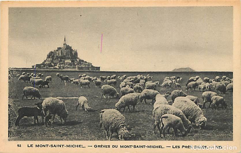 Cartes Postales: France - 50 - Le Mont Saint Michel - Gr&egrave;ves du Mont Saint Michel - Les Pr&eacute;s Sal&eacute;s - Moutons - Anim&eacute;e