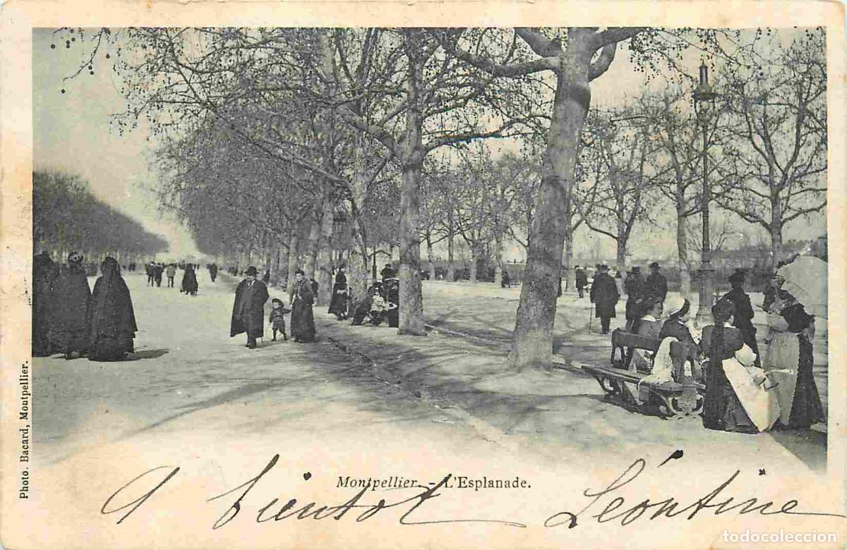 Postkarten: France - 34 - Montpellier - L'Esplanade - Anim&eacute;e - Pr&eacute;curseur - CPA - Oblit&eacute;ration ronde de 1903 - V