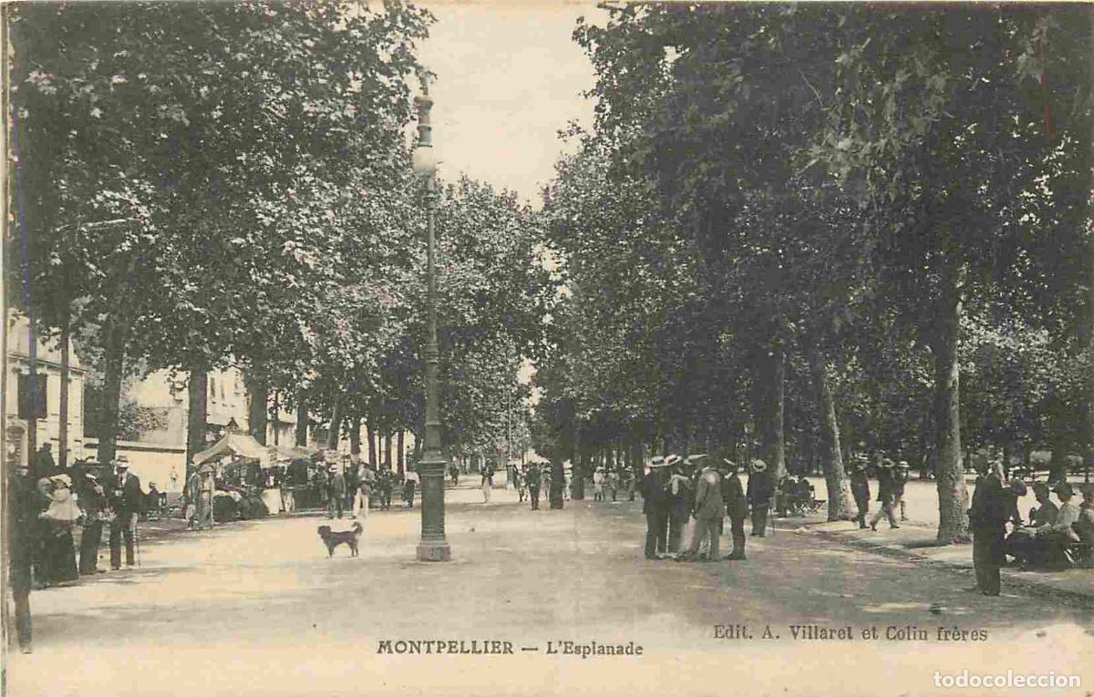 Postkarten: France - 34 - Montpellier - L'Esplanade - Anim&eacute;e - CPA - Voyag&eacute;e en 1916 - Voir Scans Recto-Verso