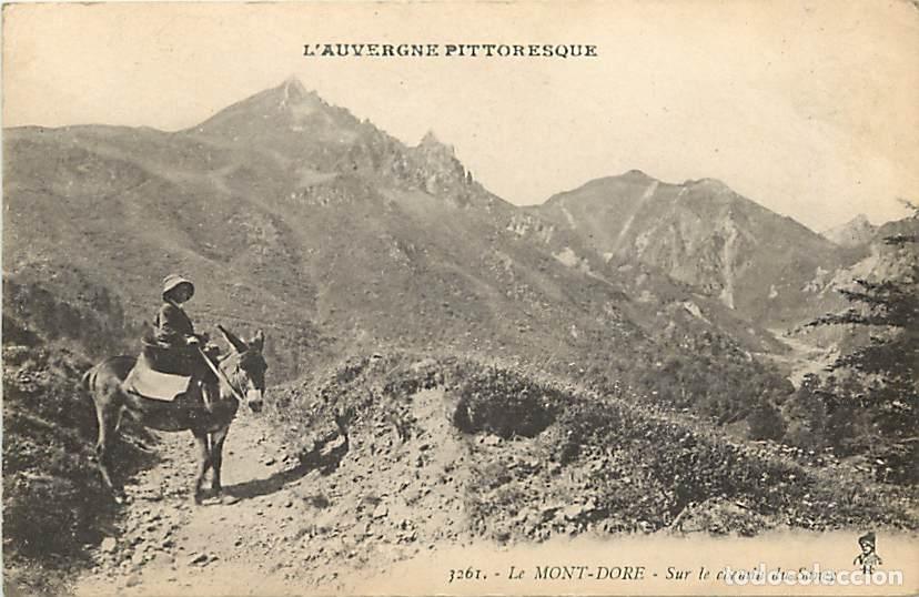 Cartes Postales: France - 63 - Le Mont Dore - Sur le chemin du Sancy - Anim&eacute;e - Anes - CPA - Voir Scans Recto-Verso