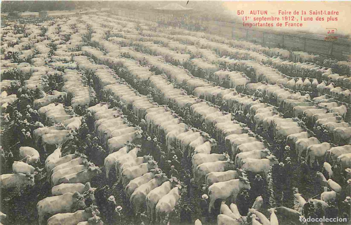 Postcards: France - 71 - Autun - Foire de la Saint-Ladre - 1e septembre 1912 - Anim&eacute;e - March&eacute; aux bestiaux - V