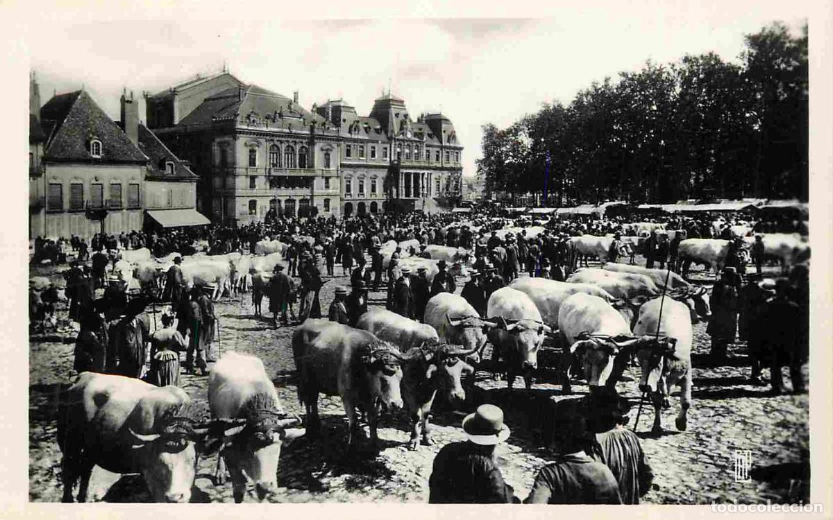 Postcards: France - 71 - Autun - La Place du Champ de Mars un jour de Foire - Anim&eacute;e - March&eacute; aux bestiaux - Va