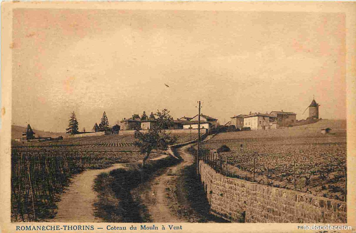 Postais: France - 71 - Roman&egrave;che-Thorins - Coteau du Moulin &agrave; vent - CPA - Voir Scans Recto-Verso