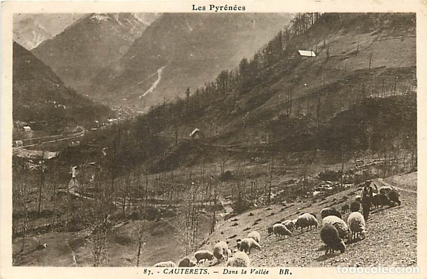 Postais: France - 65 - Cauterets - Dans la Vall&eacute;e - Berger et ses Moutons - CPA - Voir Scans Recto-Verso