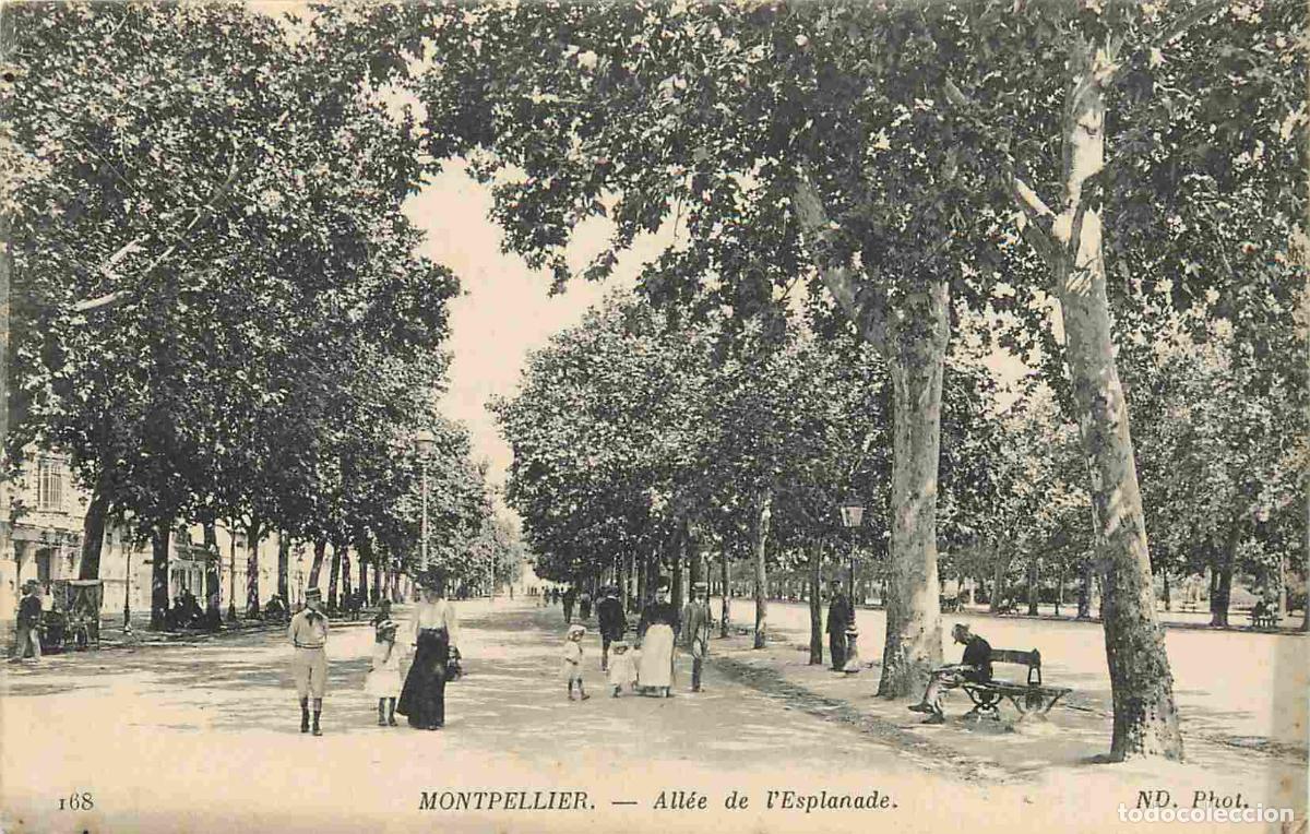 Cartes Postales: France - 34 - Montpellier - All&eacute;e de l'esplanade - Anim&eacute;e - CPA - Voyag&eacute;e en 1912 - Voir Scans Recto