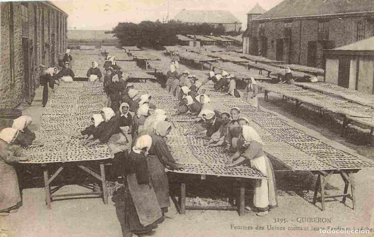 Postais: France - 56 - Presqu'Ile de Quiberon - Femmes des Usines mettant leurs Sardines &agrave; s&eacute;cher - Anim&eacute;e -