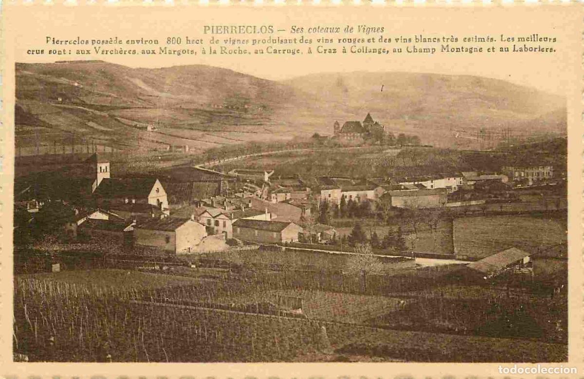 Postales: France - 71 - Pierreclos - Ses coleaux de Vignes - CPA - Voir Scans Recto-Verso