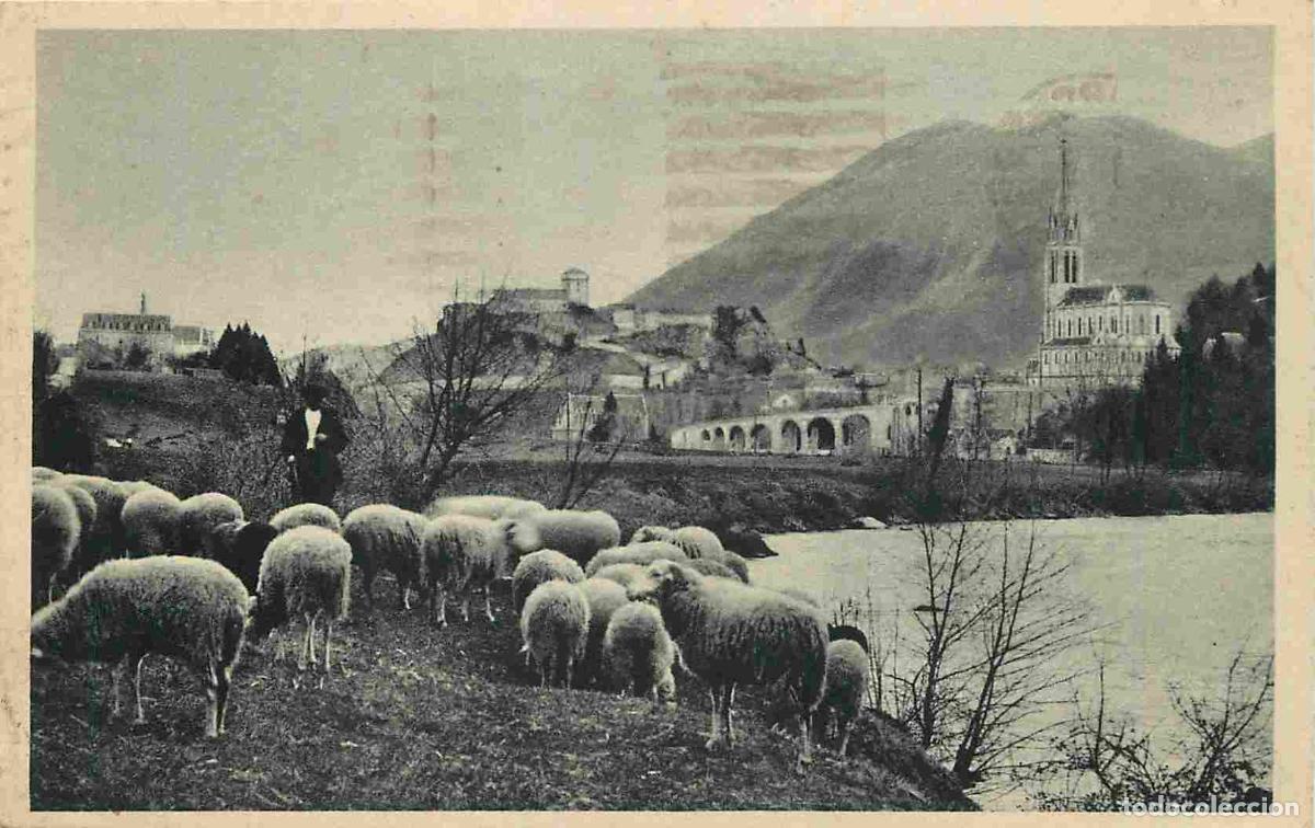 Cartes Postales: France - 65 - Lourdes - La Basilique et le Ch&acirc;teau Fort - Anim&eacute;e - Berger et ses moutons - CPA - Obl