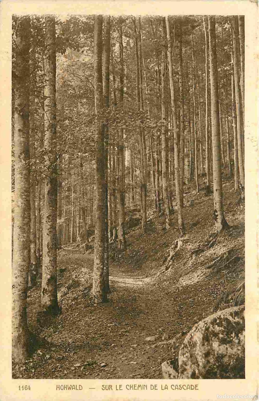 Cartes Postales: France - 67 - Howald - Sur le chemin de la Cascade - For&ecirc;t - Correspondance - CPA - Oblit&eacute;ration ron