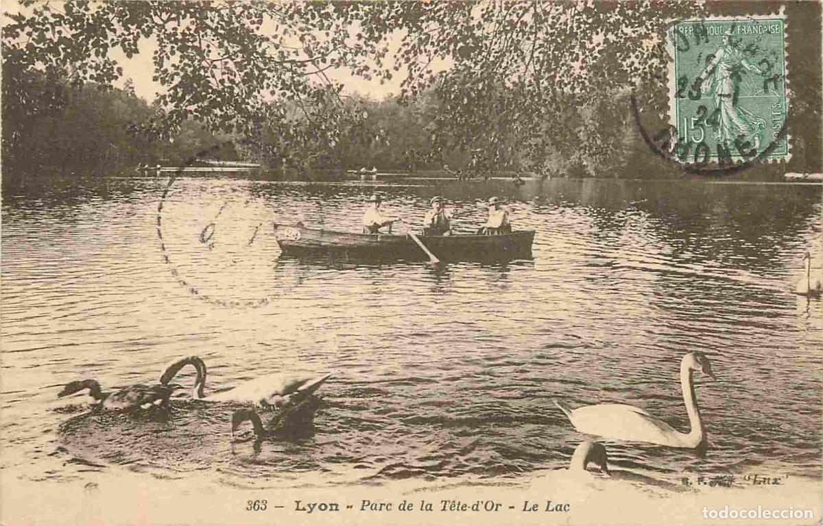 Postcards: France - 69 - Lyon - Parc de la T&ecirc;te d'Or - Le Lac - Anim&eacute;e - Canotage - Cygnes - CPA - Oblit&eacute;ration