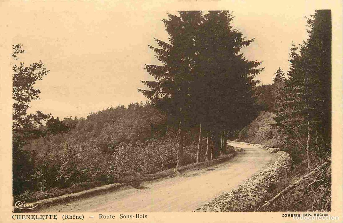 Postais: France - 69 - Chenelette - Route Sous-Bois - CPA - Voir Scans Recto-Verso