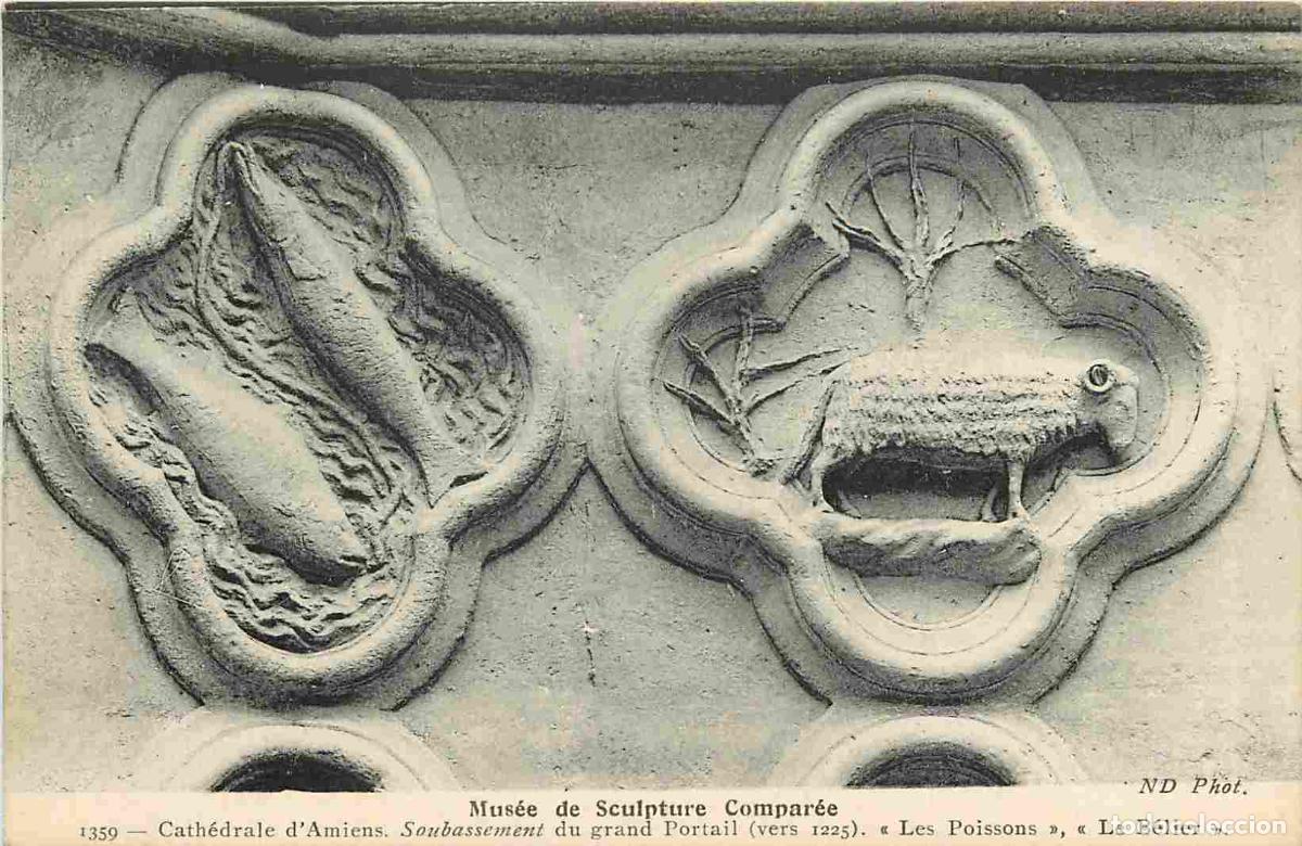 Cartes Postales: France - 80 - Amiens - Cath&eacute;drale Notre Dame - Mus&eacute;e de Sculpture Compar&eacute;e - Soubassement du grand p