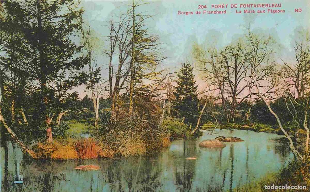 Cartes Postales: France - 77 - Fontainebleau - For&ecirc;t de Fontainebleau - Gorges de Franchard - La Mare aux Pigeons - C