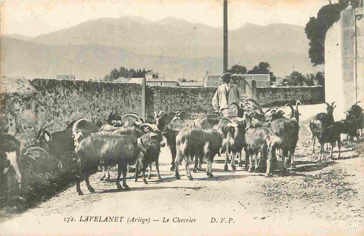 Postais: France - 09 - Lavelanet - Le Chevrier - Anim&eacute;e - Berger - Ch&egrave;vres - CPA - Voir Scans Recto-Verso