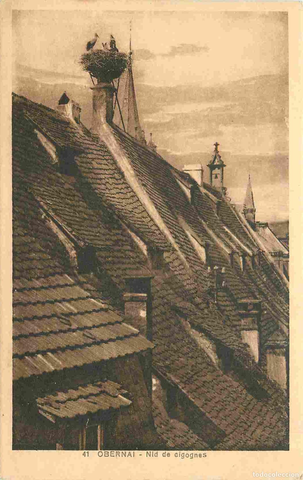 Postkarten: France - 67 - Obernai - Nid de cigognes - CPA - Voir Scans Recto-Verso