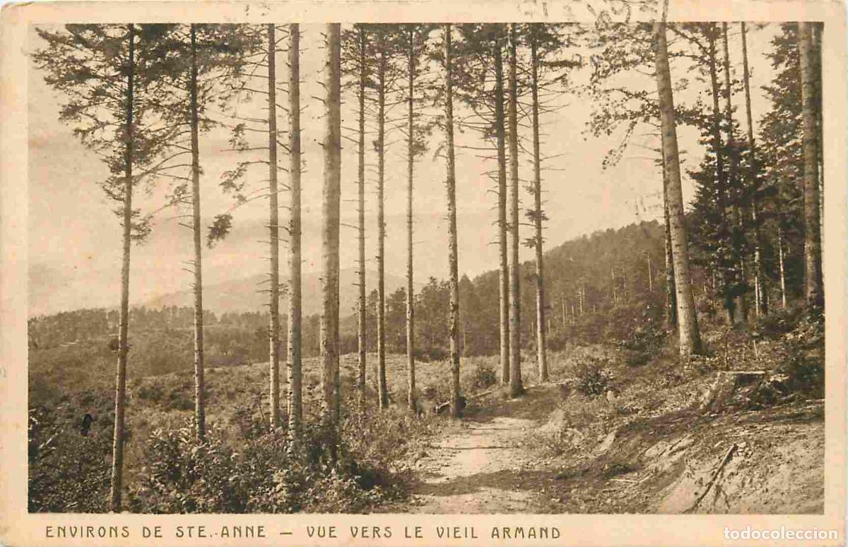Postkarten: France - 68 - Le Vieil Armand - Environs de Sainte Anne - Vue sur le Vieil Armand - CPA - Oblit&eacute;rati