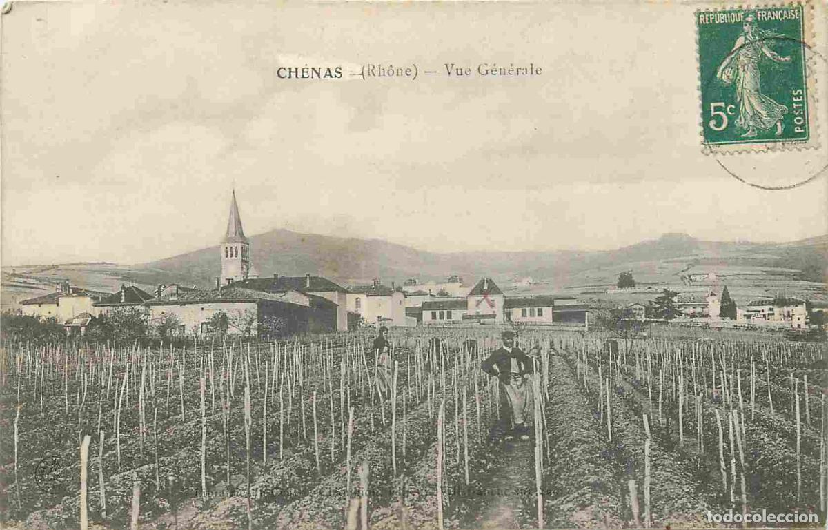 Postcards: France - 69 - Ch&eacute;nas - Vue G&eacute;n&eacute;rale - Anim&eacute;e - Vignes - CPA - Oblit&eacute;ration ronde de 1907 - Voir Scan
