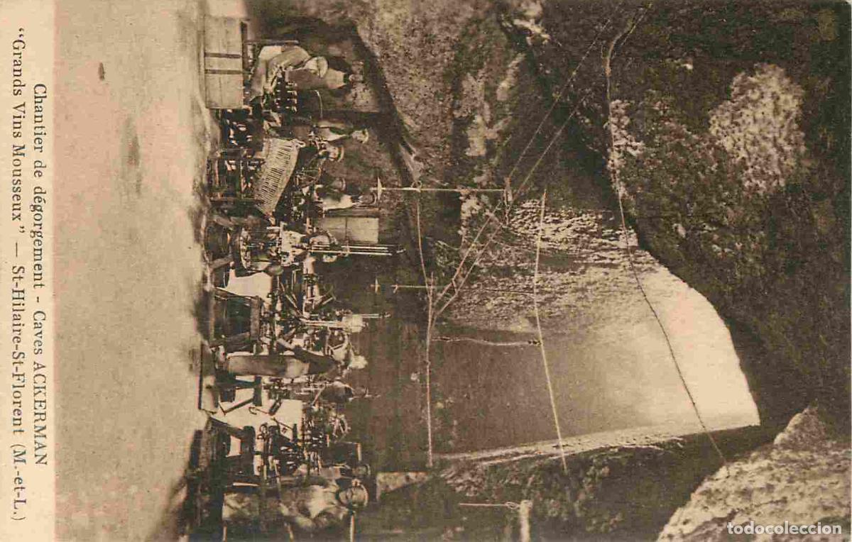 Cartoline: France - 49 - Saint Hilaire Saint Florent - Caves Ackerman - Chantier de d&eacute;gorgement - Grands Vins M