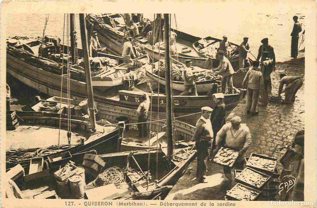 Postkarten: France - 56 - Quiberon - D&eacute;barquement de la sardine - Anim&eacute;e - CPA - Oblit&eacute;ration ronde de 1933 - Vo