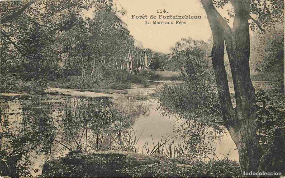 Postkarten: France - 77 - Fontainebleau - For&ecirc;t de Fontainebleau - La Mare aux F&eacute;es - Correspondance - CPA - Voi