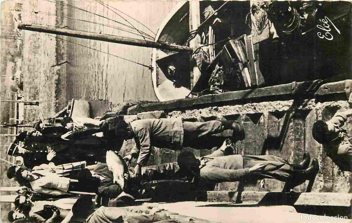 Postkarten: France - 64 - Cote Basque - D&eacute;chargement des Thons - Anim&eacute;e - Poissons - P&ecirc;cheurs - Mention Photogra