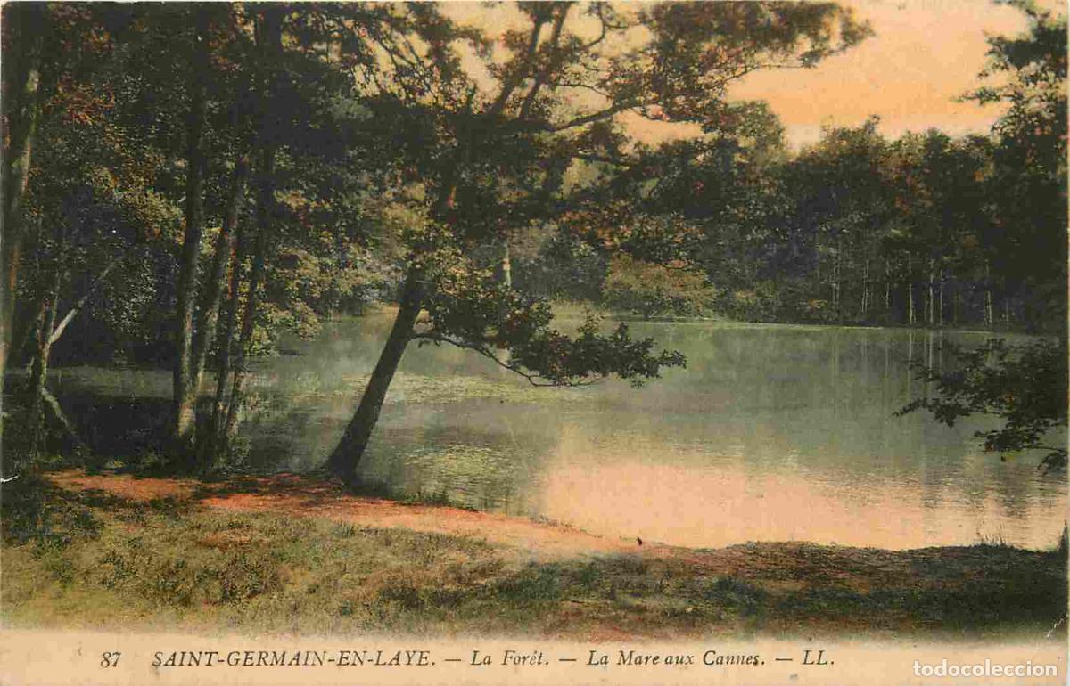 Cartoline: France - 78 - Saint Germain en Laye - La For&ecirc;t - La Mare aux Cannes - Coloris&eacute;e - CPA - Voir Scans R