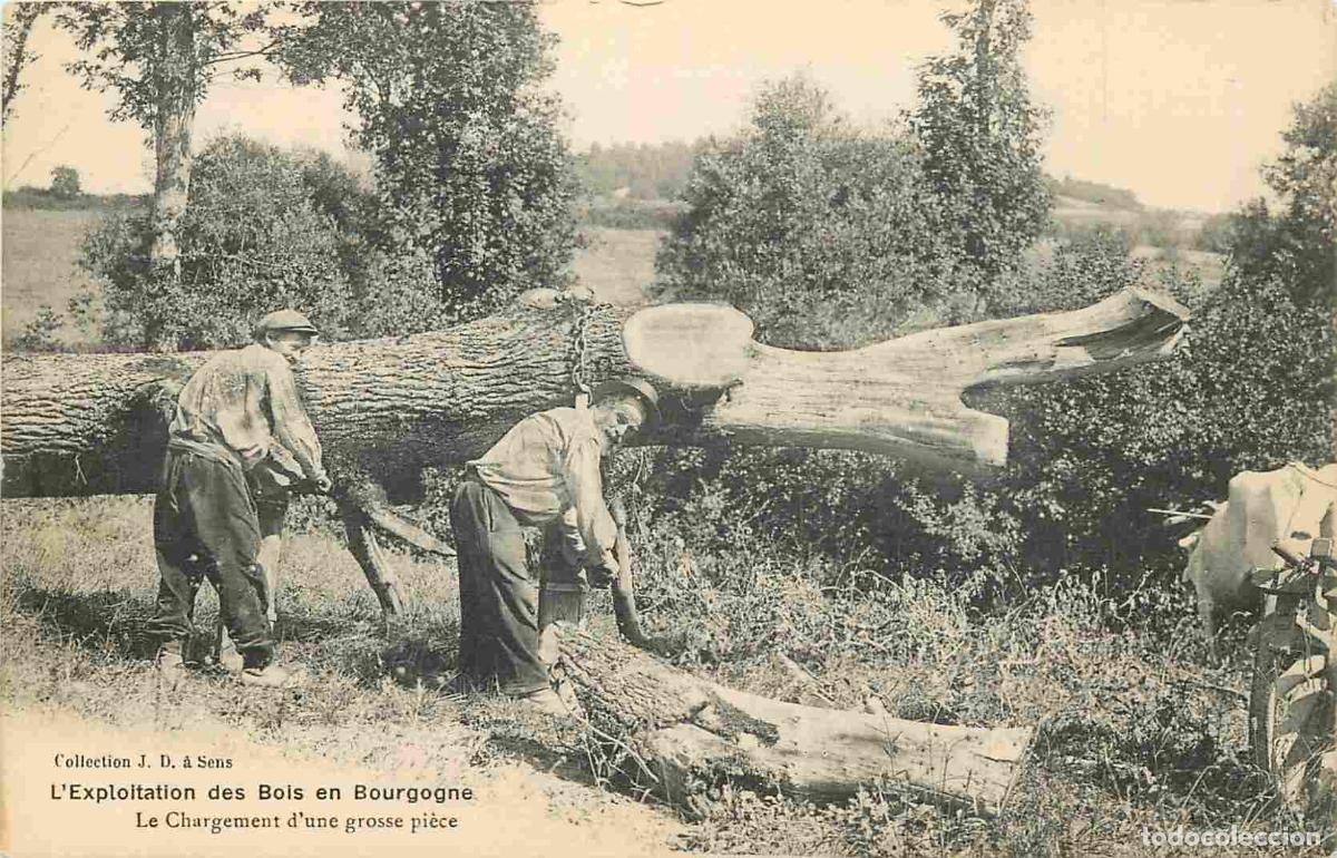 Postais: France - 89 - Bourgogne - L'exploitation des Bois en Bourgogne - Le Chargement d'une grosse pi&egrave;ce -
