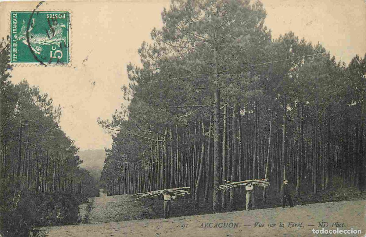 Cartes Postales: France - 33 - Arcachon - Vue sur la For&ecirc;t - Anim&eacute;e - CPA - Oblit&eacute;ration ronde de 1910 - Voir Scans R