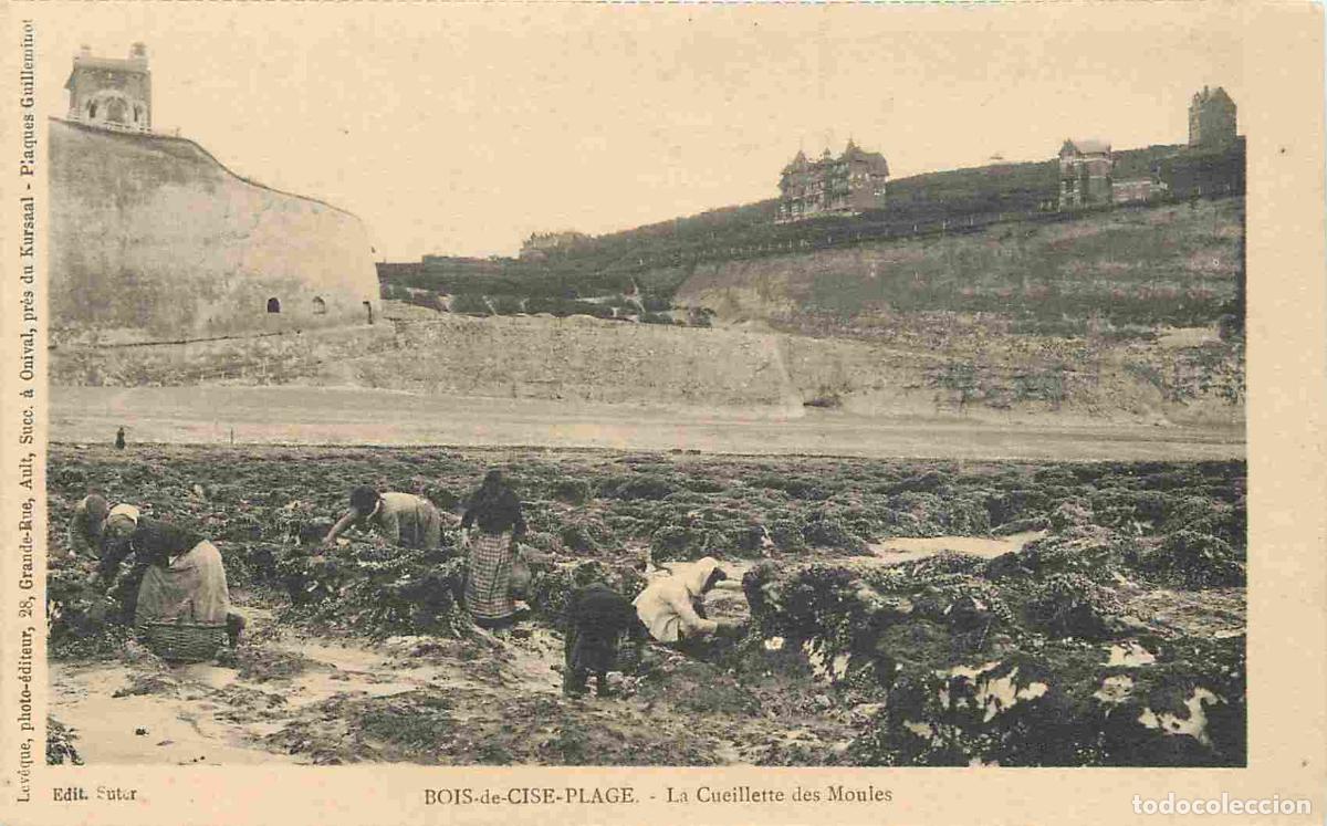 Cartoline: France - 80 - Bois de Cise - Plage - La Cueillette des Moules - Anim&eacute;e - P&ecirc;che &agrave; pied - CPA - Voir S