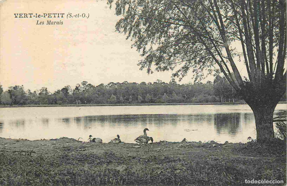 Cartoline: France - 91 - Vert le Petit - Les Marais - Oies - CPA - Voir Scans Recto-Verso