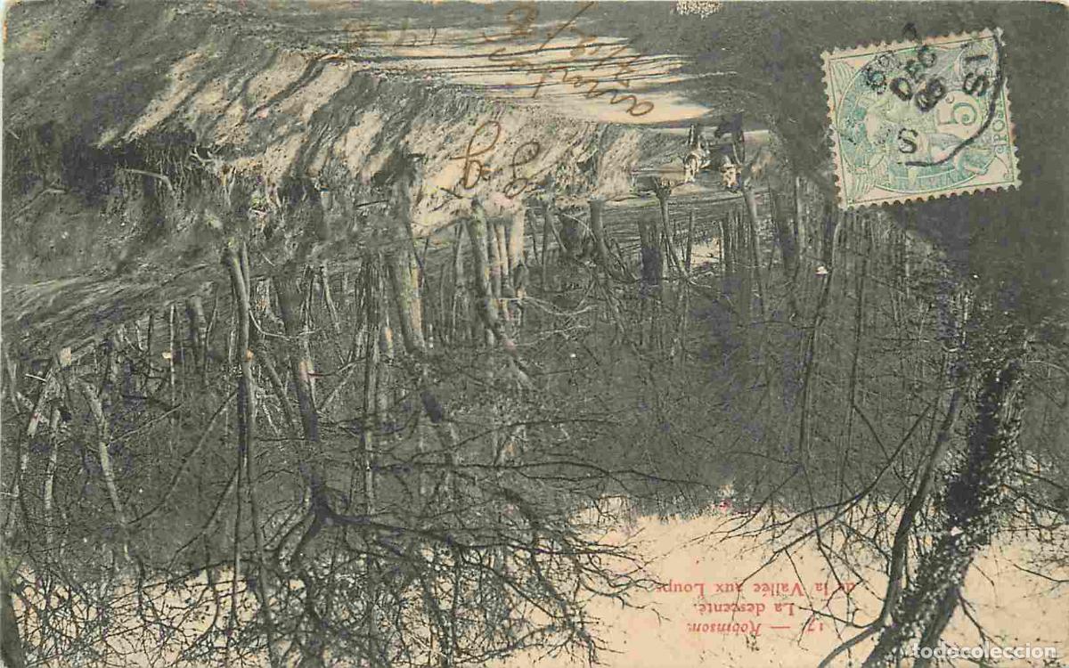 Cartoline: France - 92 - Robinson - La descente de la Vall&eacute;e aux Loups - Anim&eacute;e - CPA - Oblit&eacute;ration ronde de 1