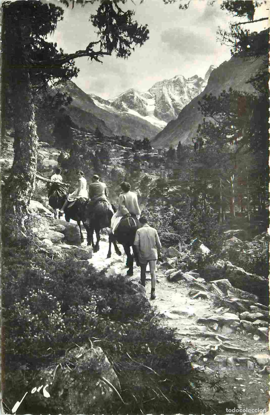 Postais: France - 65 - Cauterets - Sur le chemin du Lac de Gaube &agrave; dos de mulet - Anim&eacute;e - Mention Photograph