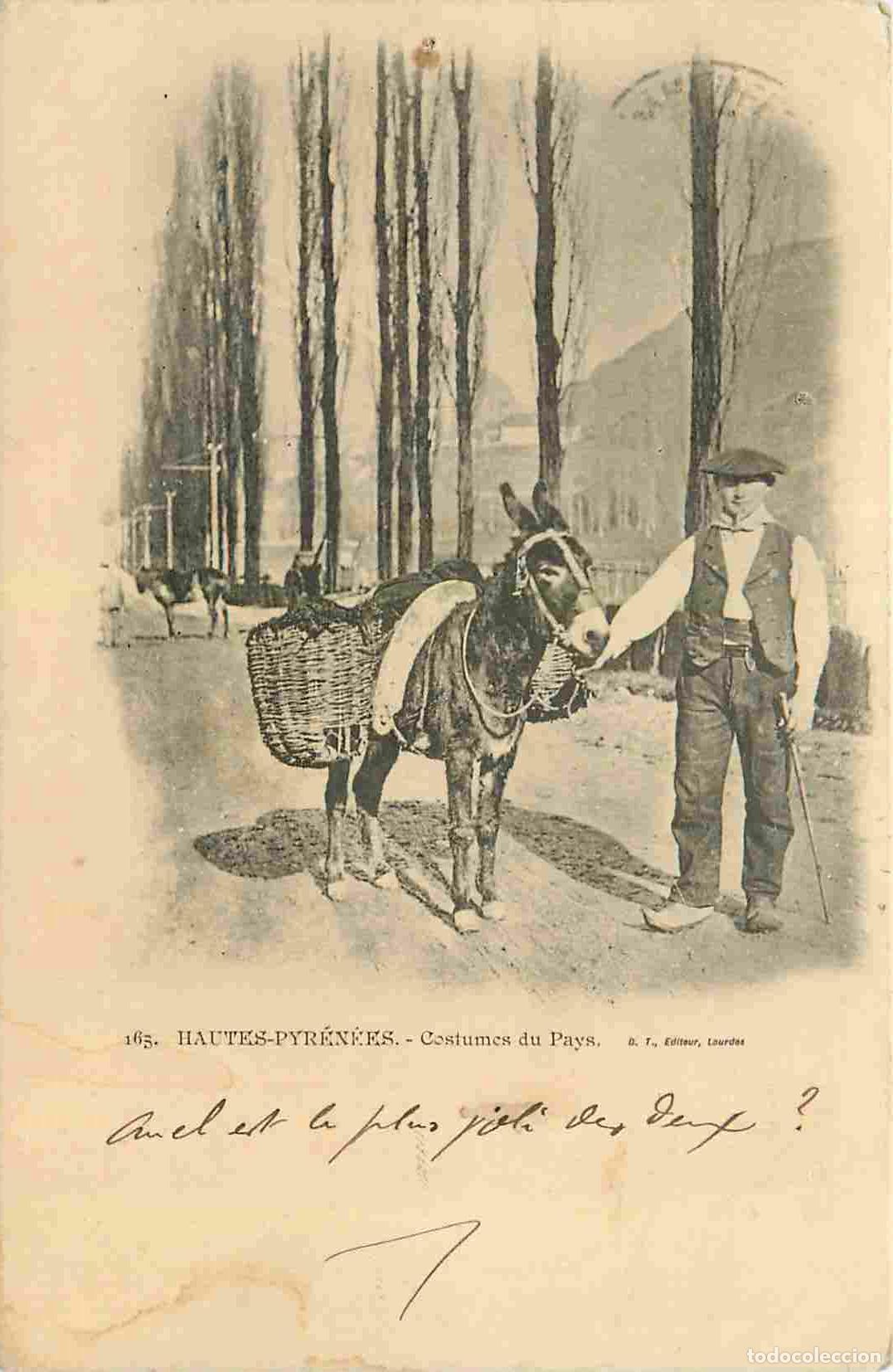 Postais: France - 65 - Hautes Pyr&eacute;n&eacute;es - Costumes du Pays - Anes - Folklore - Sc&egrave;ne et Types - Pr&eacute;curseur - C