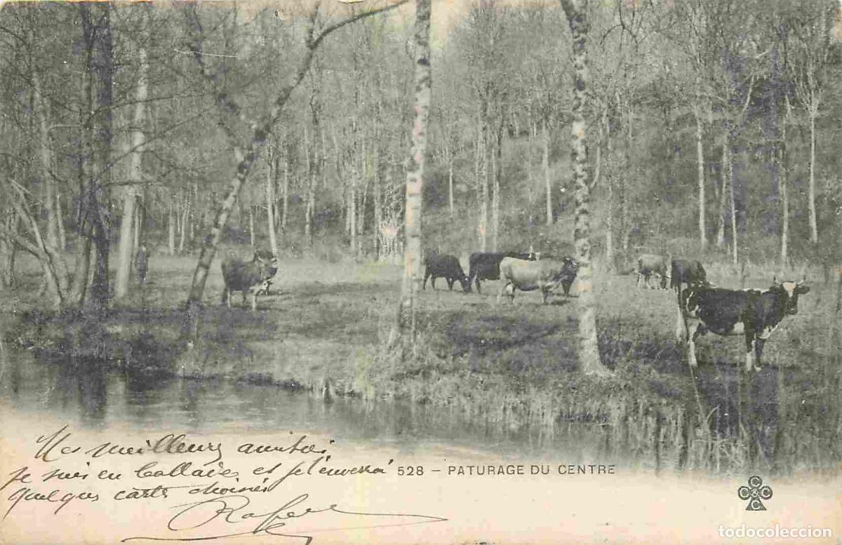 Postcards: France - 18 - Cher - Paturage du Centre - Anim&eacute;e - Vaches - Pr&eacute;curseur - CPA - Oblit&eacute;ration ronde de