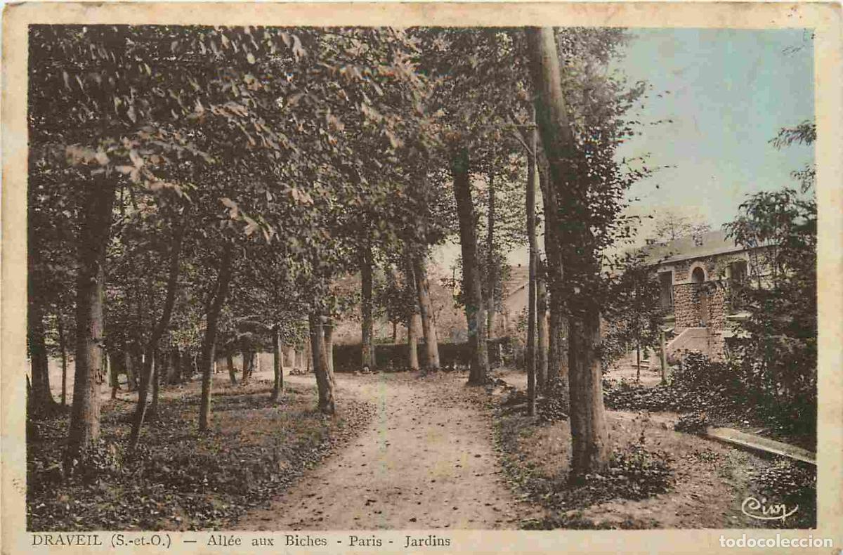 Cartoline: France - 91 - Draveil - All&eacute;e aux Biches - Jardins - CPA - Voir Scans Recto-Verso