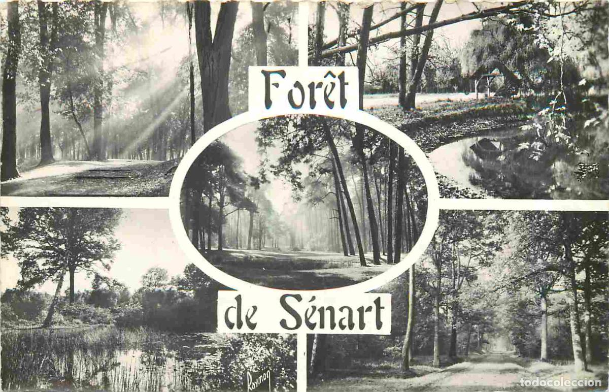 Cartoline: France - 91 - S&eacute;nart - For&ecirc;t de S&eacute;nart - Multivues - Carte Dentel&eacute;e - CPSM format CPA - Voir Scans R