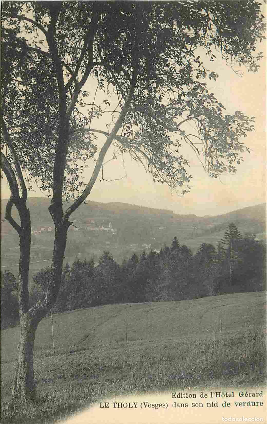 Cartoline: France - 88 - Le Tholy - Le village dans son nid de verdure - CPA - Voir Scans Recto-Verso