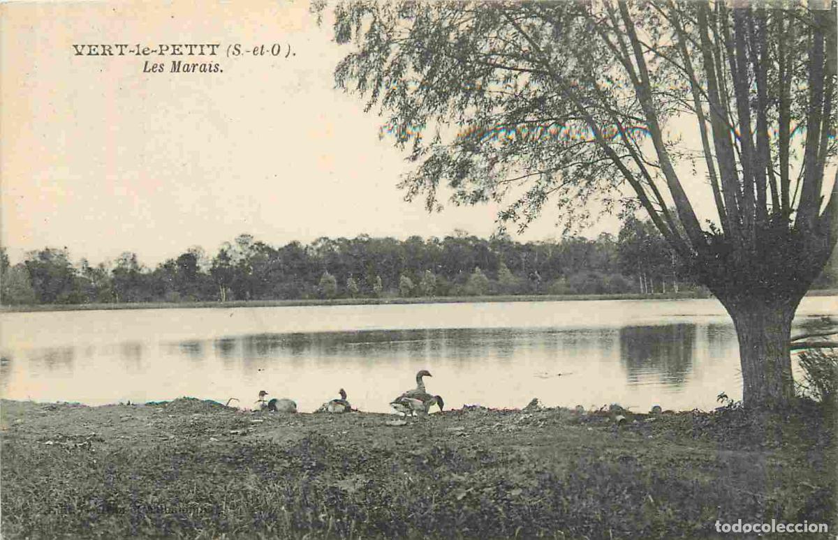 Postkarten: France - 91 - Vert-le-Petit - Les Marais - CPA - Voir Scans Recto-Verso