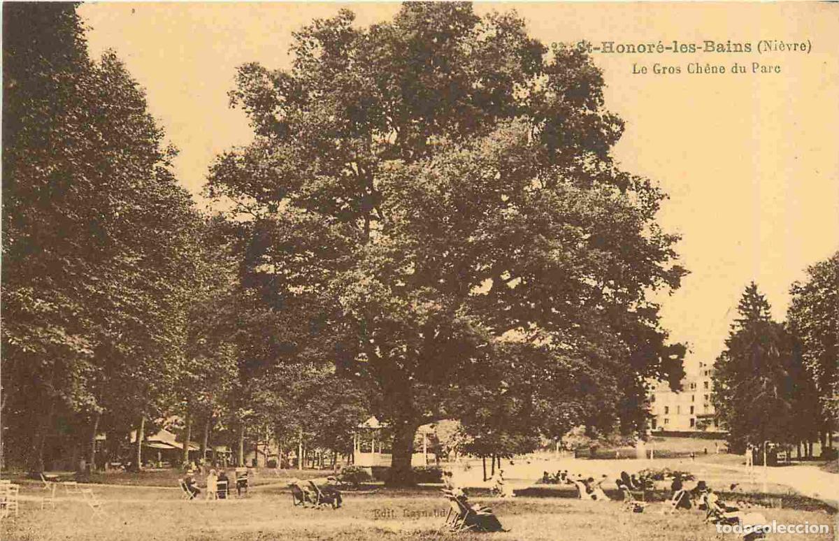 Postkarten: France - 58 - Saint Honor&eacute; les Bains - Le Gros Ch&ecirc;ne du Parc - Anim&eacute;e - Correspondance - Artbre rema