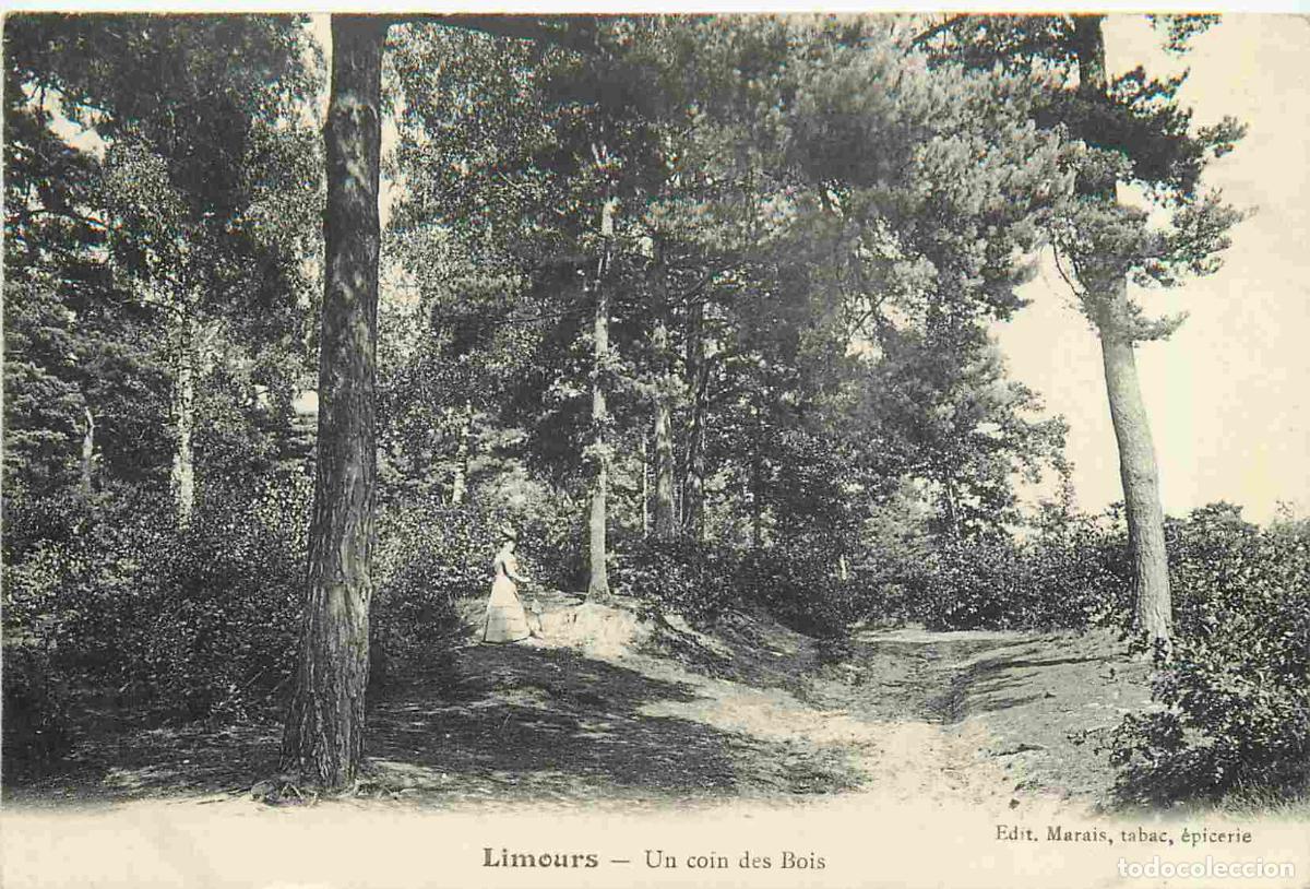 Postkarten: France - 91 - Limours - Un coin des Bois - Anim&eacute;e - CPA - Oblit&eacute;ration de 1907 - Voir Scans Recto-Ve