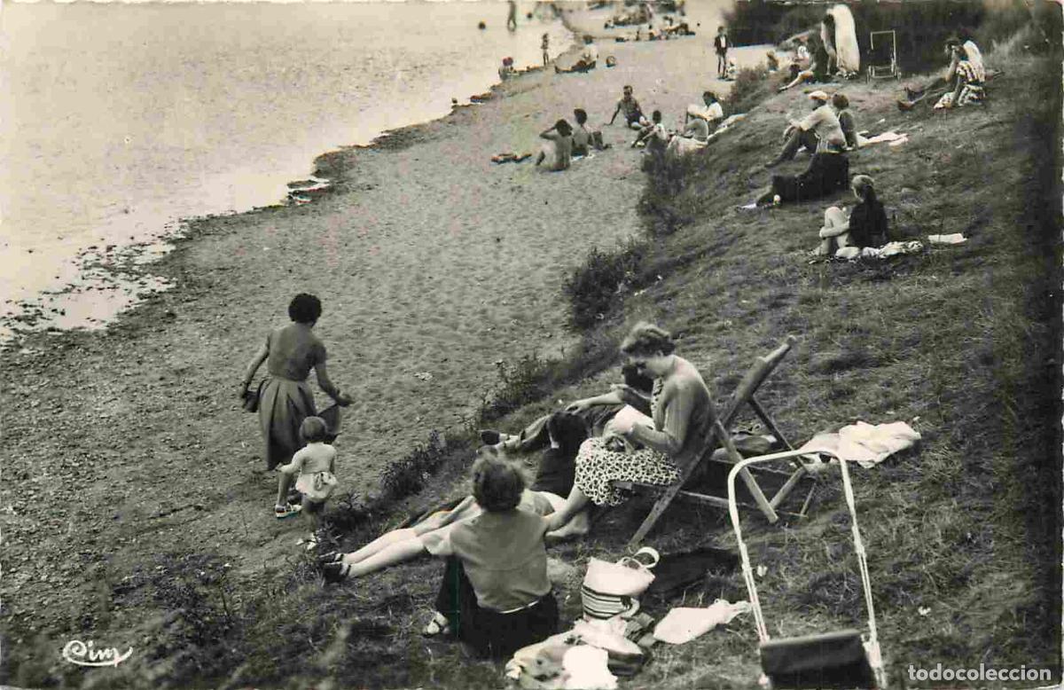 Postkarten: France - 58 - Cosne Cours sur Loire - La Plage - Anim&eacute;e - Sc&egrave;nes de Plage - Mention Photographie V&eacute;r